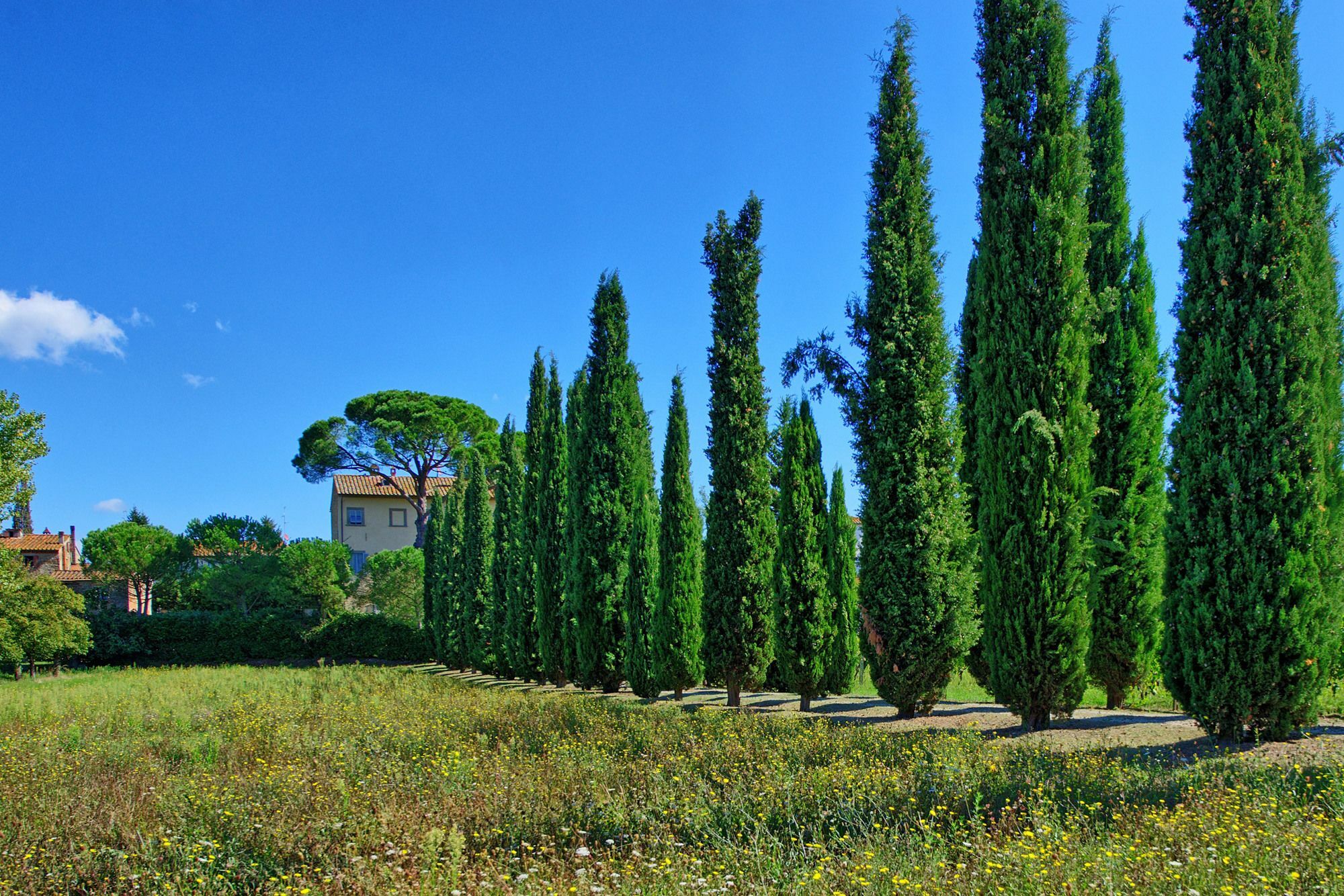 ארצו Villa Giovi מראה חיצוני תמונה